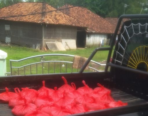 DKM Masjid Jami’ Al Mubarokah Kp. Cisarua Desa Sirnajati, Salurkan Zakat Fitrah Ke Para Jompo-jompo