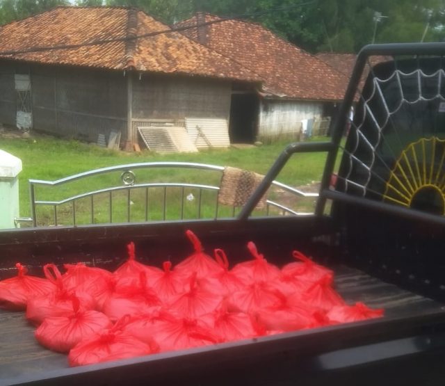 WhatsApp Image 2022-05-01 at 14.06.32